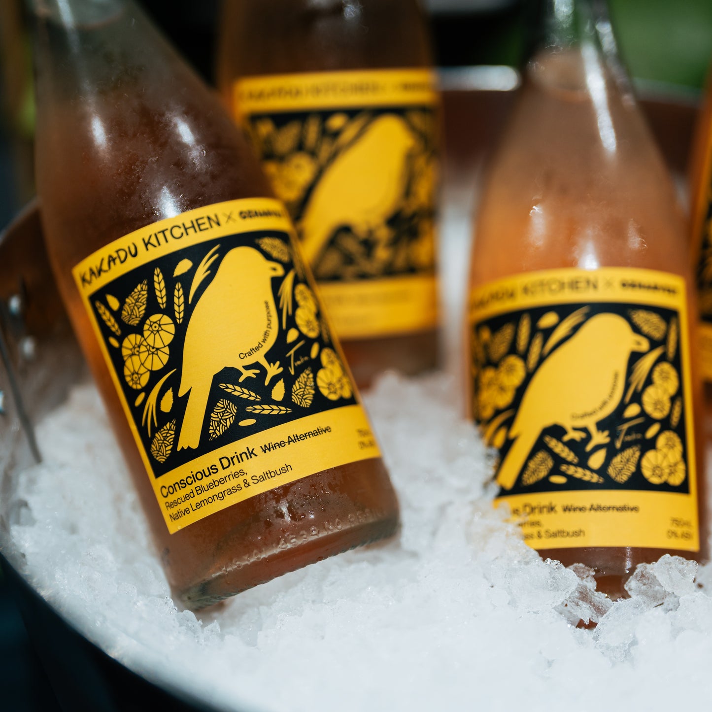 Bottles of a beverage with a yellow label featuring a bird design, placed on a bed of ice.