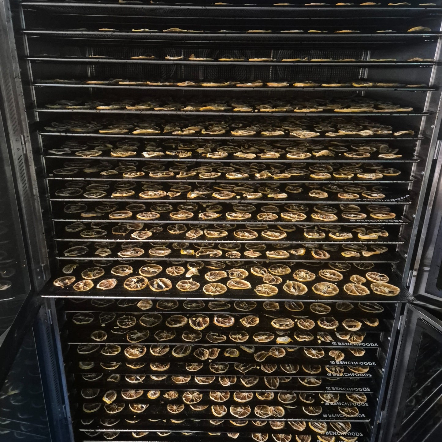 Dried Lemon Slices | Oh! by OzHarvest Ventures
