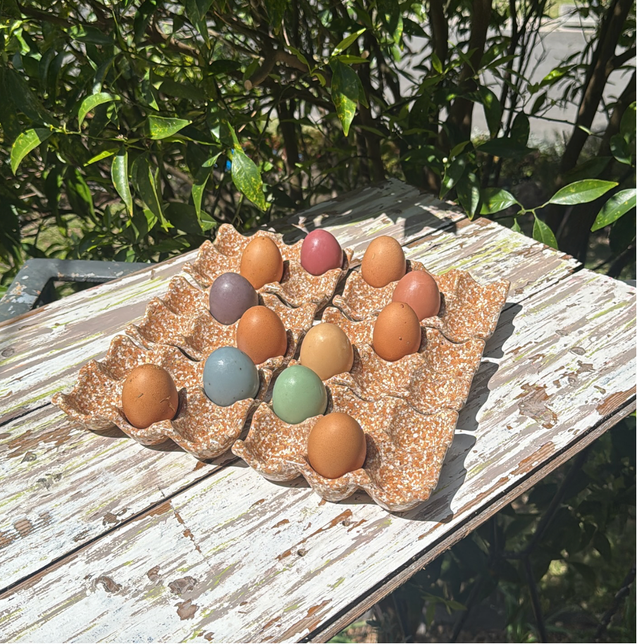 Circular Egg Holders
