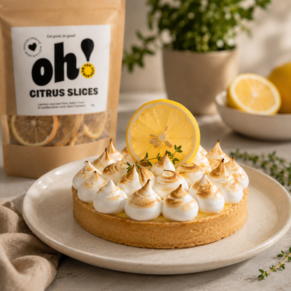 Dried Lemon Slices | Oh! by OzHarvest Ventures