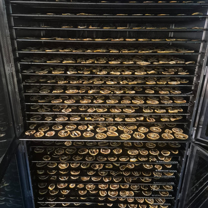 Dried Lemon Slices | Oh! by OzHarvest Ventures
